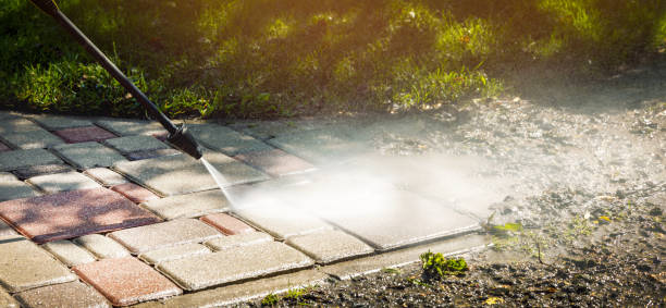 Best Vinyl Siding Pressure Washing in Logan, IA